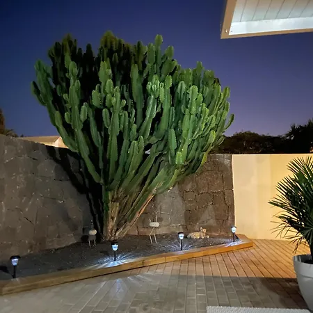 Grey By Vulcano Homes * Tahiche